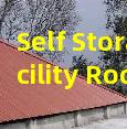 Self Storage Facility Roof Inspection Maintenance Leak Repair and Structural Car